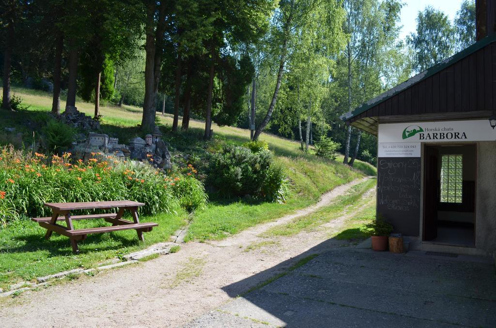 Chata Barbora Lučany nad Nisou Buitenkant foto